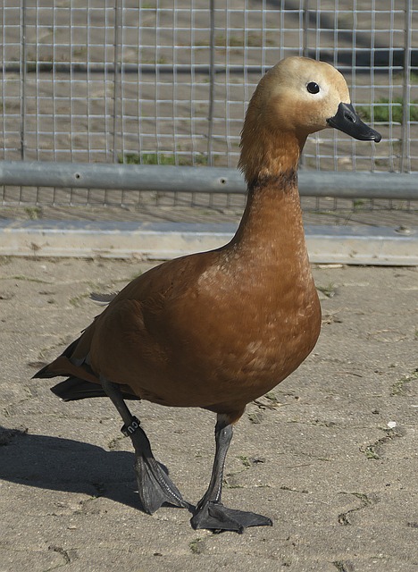 田径赛场以