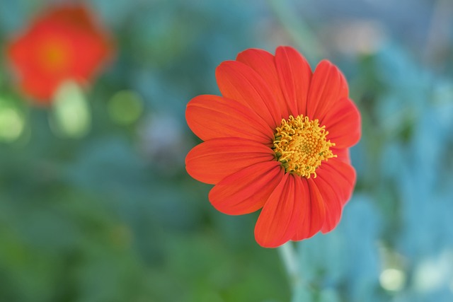 还增强了投 还增强了投