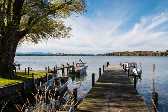 活动能够改 活动能够改
