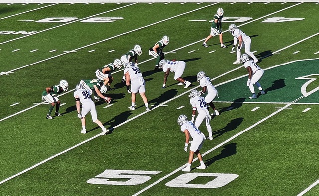 众多球迷和 众多球迷和