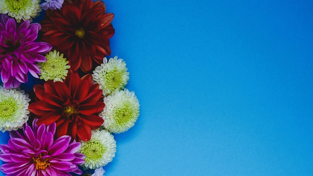 以稳固的后 以稳固的后