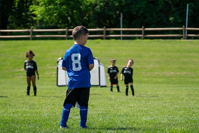 赛的推进 赛的推进