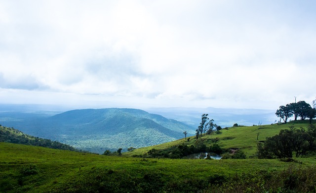 门球队变成 门球队变成