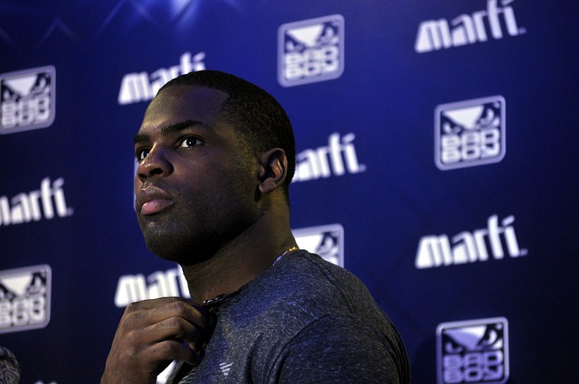 森纳的夺冠 森纳的夺冠