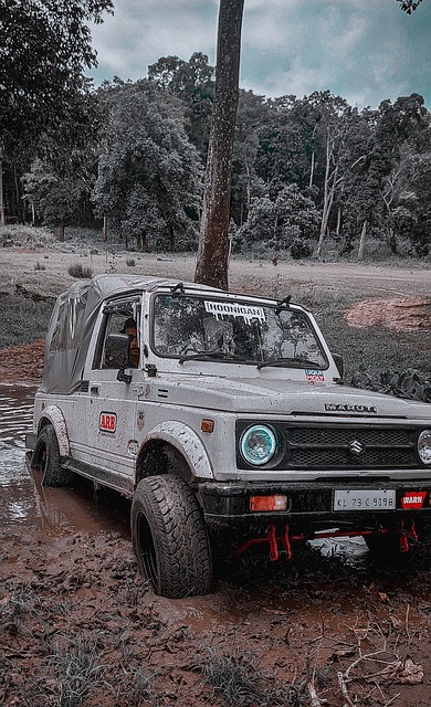 德波尔接任 德波尔接任